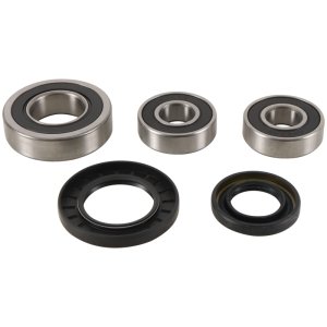 Kawasaki KLV1000 Wheel Bearing Kit - Rear - Pivot Works - OEM Replacement - `04-`05 Kawasaki KLV1000 Wheel Bearing Kit - Rear - Pivot Works - OEM Replacement - `04-`05